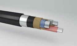 Power Cables with Aluminum Conductors and Impregnated Paper Insulation, 6-10 kV, AAШп