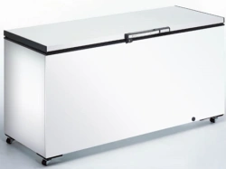 CARAVELL Freezer Chest Model 611402+ for Efficient Storage