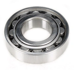 Rolling Bearing Cylindrical Roller 12311KM