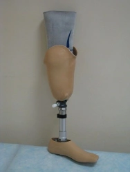 Modular Lower Leg Prosthesis for Amputees