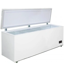 Freezer Display Cabinet "Birюса 680K DQL" for Food Industry