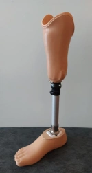 Therapeutic-Training Shin Prosthesis for Rehabilitation