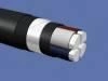 Power Cables for Voltage 0.66 kV, 1 kV with Aluminum Conductors: AVBShv, AVBShv ng(A)