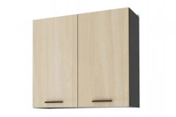 Wall-Mounted 2-Door Cabinet for Kitchen Storage