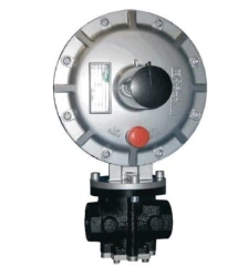 Dival 500 Direct Action Gas Pressure Regulator