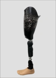 Modular Hip Prosthesis with External Power Source PN6-78