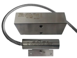 Magnetic Reed Switch Sensor DMG-40 F for Position Monitoring