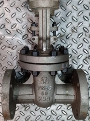 Steel Wedge Gate Valve with Rising Stem for PN 6.3 MPa DN 50