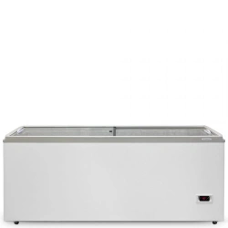 Display Freezer for Food Industry "Biryuza 560DZQ