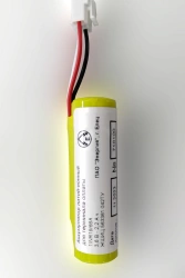Standalone Power Supply Battery for Payment Terminals 1INR19/66A