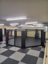 Octagon MMA Floor Cage - Custom Size Option