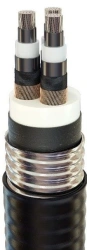Aluminum Power Cable with PE Insulation in Metal Sheath KА9СПв