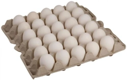 Fresh Grade A Chicken Eggs