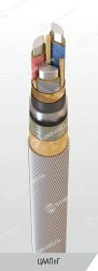 Power Cable with Aluminum Conductors and Paper Insulation, 6/10 kV Model