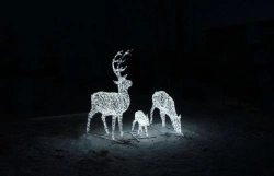 Decorative Outdoor Illumination "Family of Deer" - Stationary Lantern