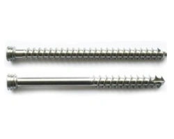 Sponge Screw with Cylindrical Thread for Bone Stabilization