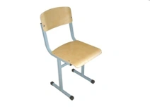 Educational Non-Adjustable Student Chair Model C 1-6