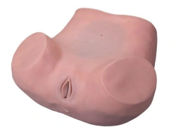 Gynecological Examination Model for Training - 6/GP6607