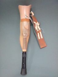 Non-modular Hip Prosthesis for Low Mobility Patients