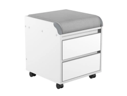 Mobile Cabinet for School and Office Supplies TUV.14