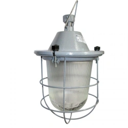 Buran NSP 11-100-425 IP62 Aluminum Body Floodlight 1005550288