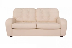 Compact Sydney Sofa 2-Seater