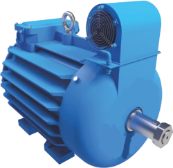 Three-Phase Crane Induction Motor with Short-Circuited Rotor for Variable Frequency Drives