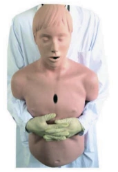 Adult Airway Obstruction Simulation Model, CPR1550