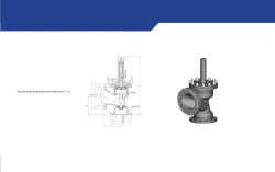 Safety Valve Series 7s-6-3 for Steam Systems