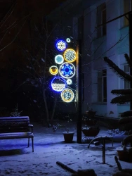 Decorative LED Panel "Carnation in Frost" - Outdoor Light with Brackets 220V