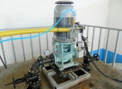 Vertical Centrifugal Wastewater Pump LITSM.59000.000133