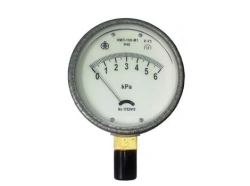 Vacuum and Pressure Gauge NMP-100-M1R