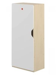 Educational Materials Storage Cabinet for Research Center