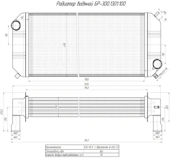 Water Radiator for Internal Combustion Engine BR-300.1301.100