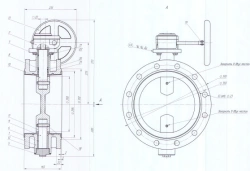 Flanged Cast Iron Disc Valve with Gearbox DN 250 PN 1.0 MPa IUCL.494465.040