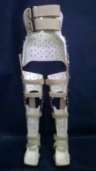 Lower Limb and Torso Orthosis Device (Orthosis)