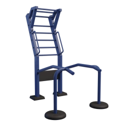 Verticalizer Training Device for Physical Development