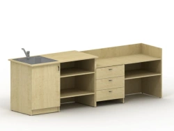 Demonstration Table with Sink for Educational Institutions