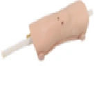 Adult Knee Joint Arthroscopy Model LV65