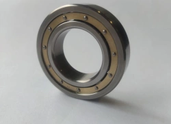 Single Row Radial Ball Bearing 76-106P1-ETU 100/3
