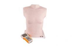 Chest Auscultation and Palpation Simulator Mannequin, PE6414/XF