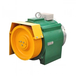 Gearless Elevator Winch LBR 500/6.2 - Compact Design