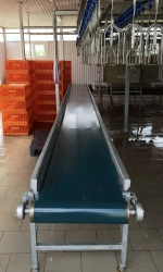 Belt Conveyor for Poultry Handling 4000x600x1050mm