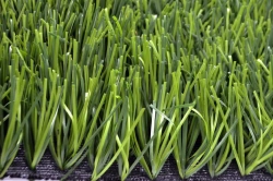 Grass 45/12 artificial grass surface