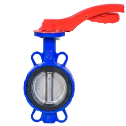 Water flange gate valve LW3.xxxR