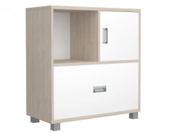 Educational Materials Storage Cabinet (Model Fr2.2)