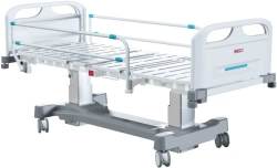 Functional Medical Bed with Electric Height Adjustment MEGI Swift M