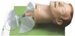 Multifunctional Airway Model for Endotracheal Intubation, Art. FA6251 / 51