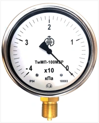 Vacuum and Pressure Gauge NMP-100-M2R