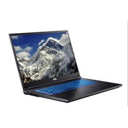 RAYbook Laptop for Professional Automation - Model R1511 G1R